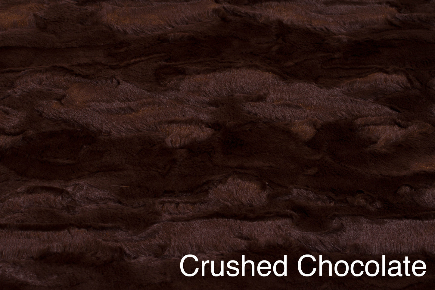 Crushed Camel / Chocolate
